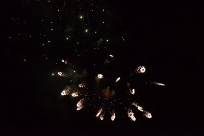 DSC_3397 (Large).JPG